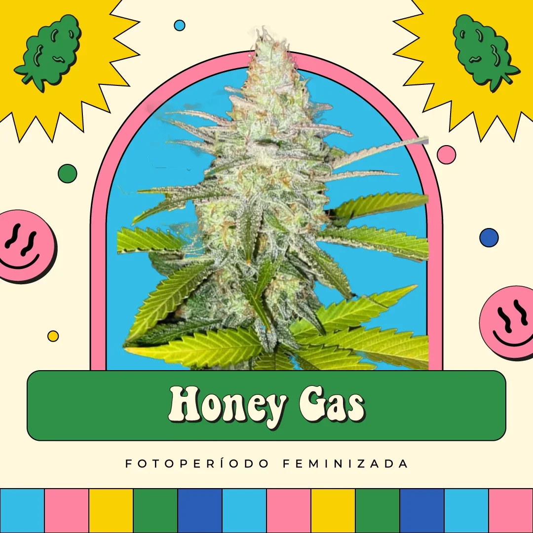 Honey Gas