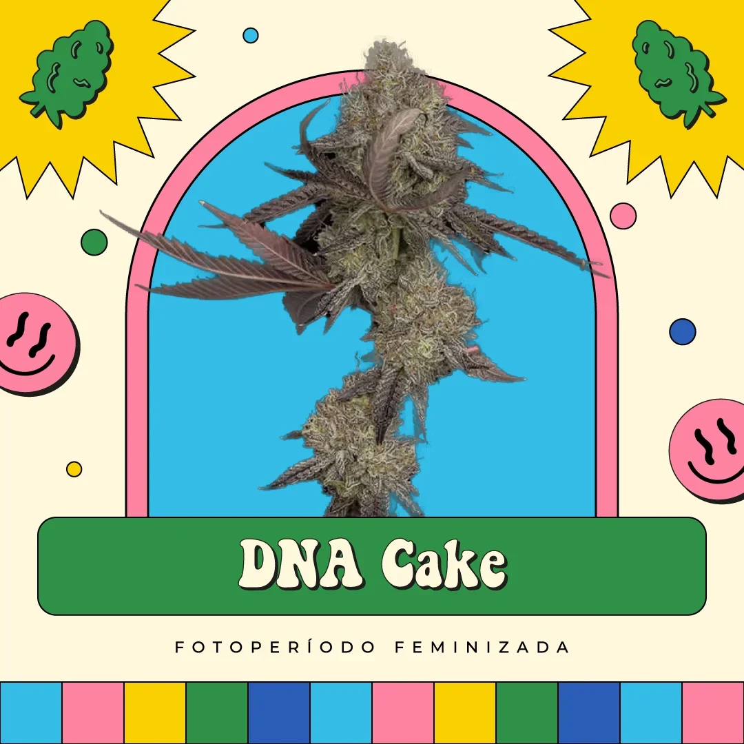 Dna Cake