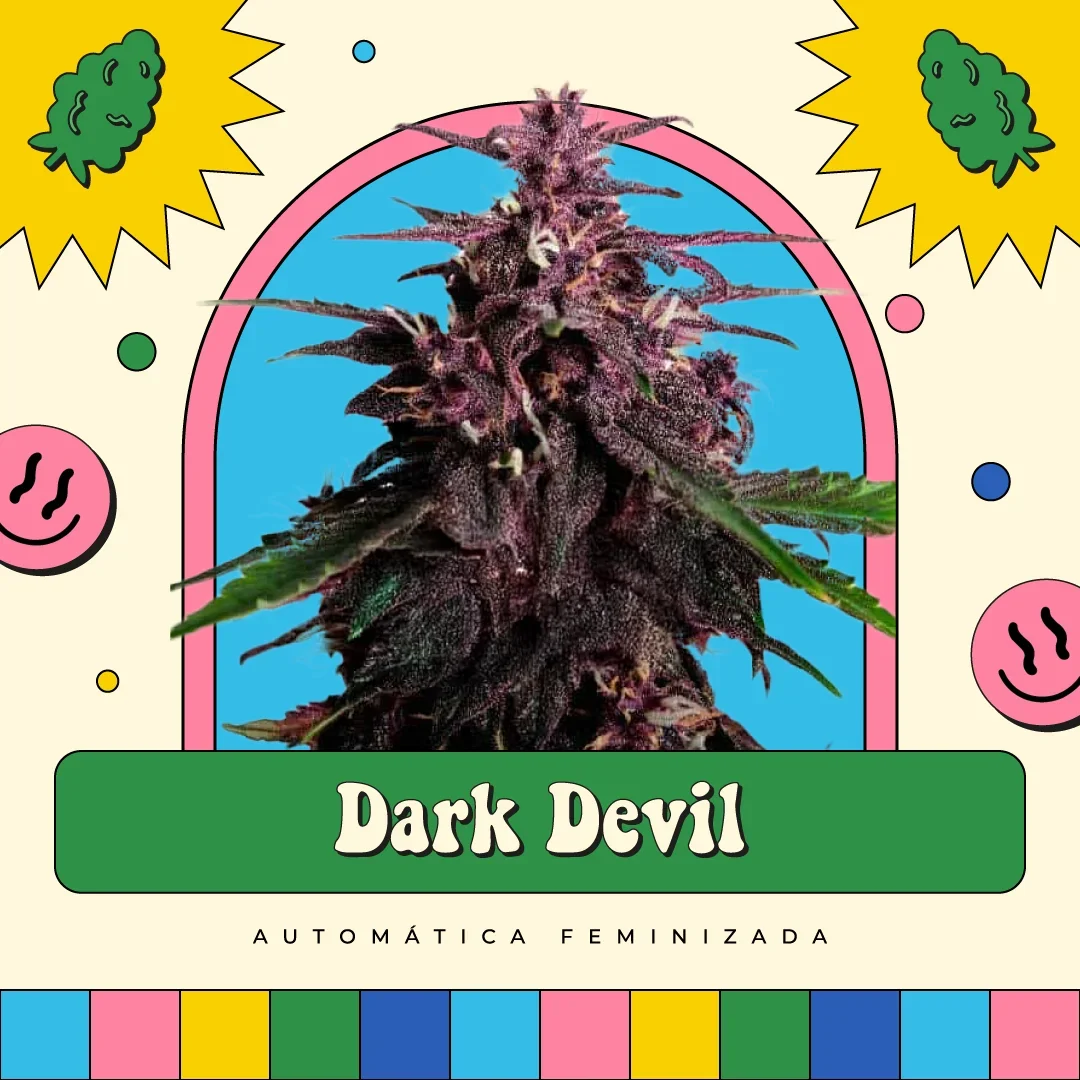 Dark Devil 3
