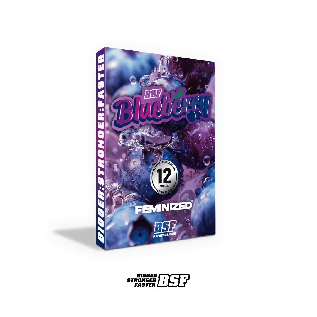 Blueberry Bsf 5