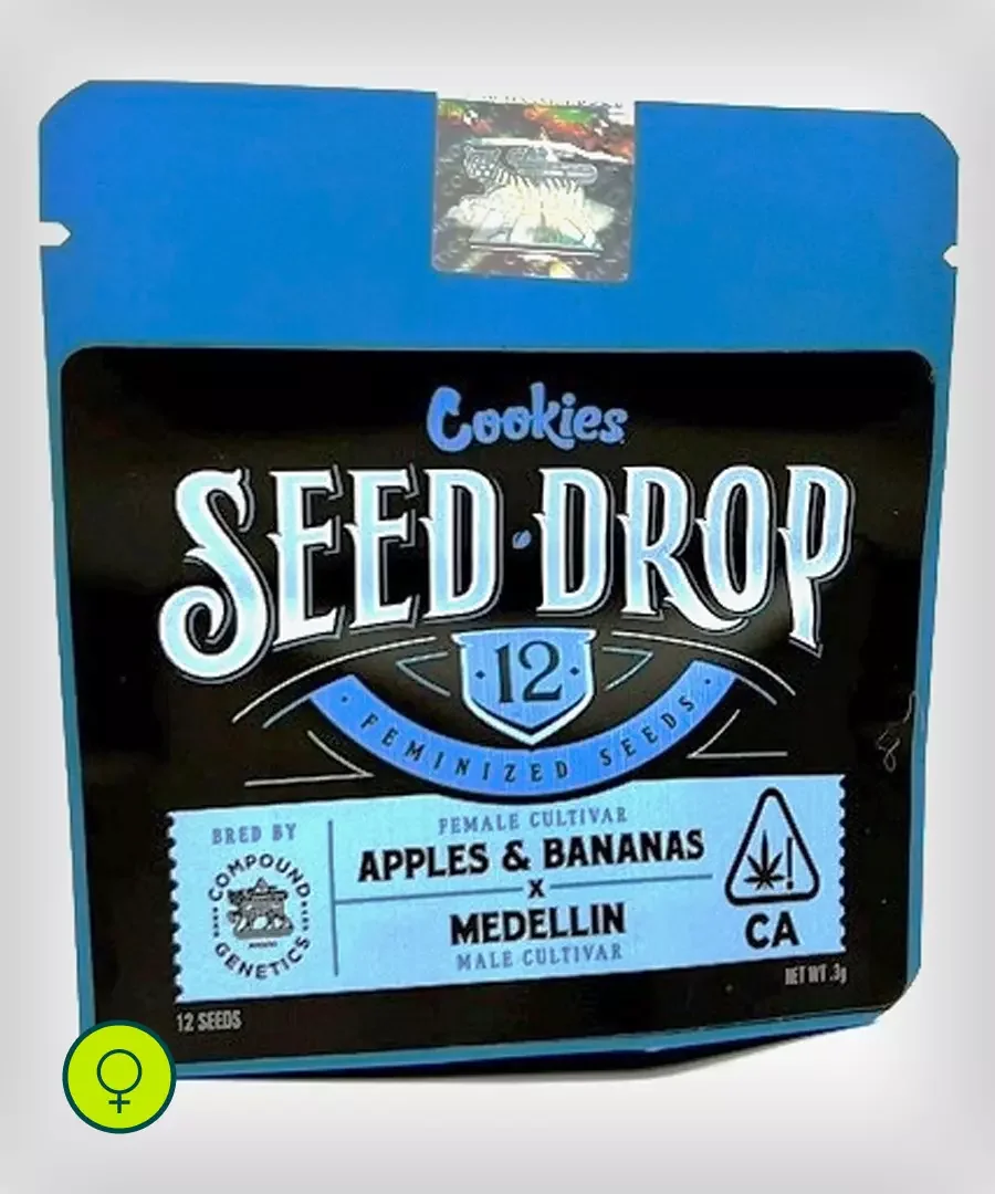 Medellin X Apples Bananas