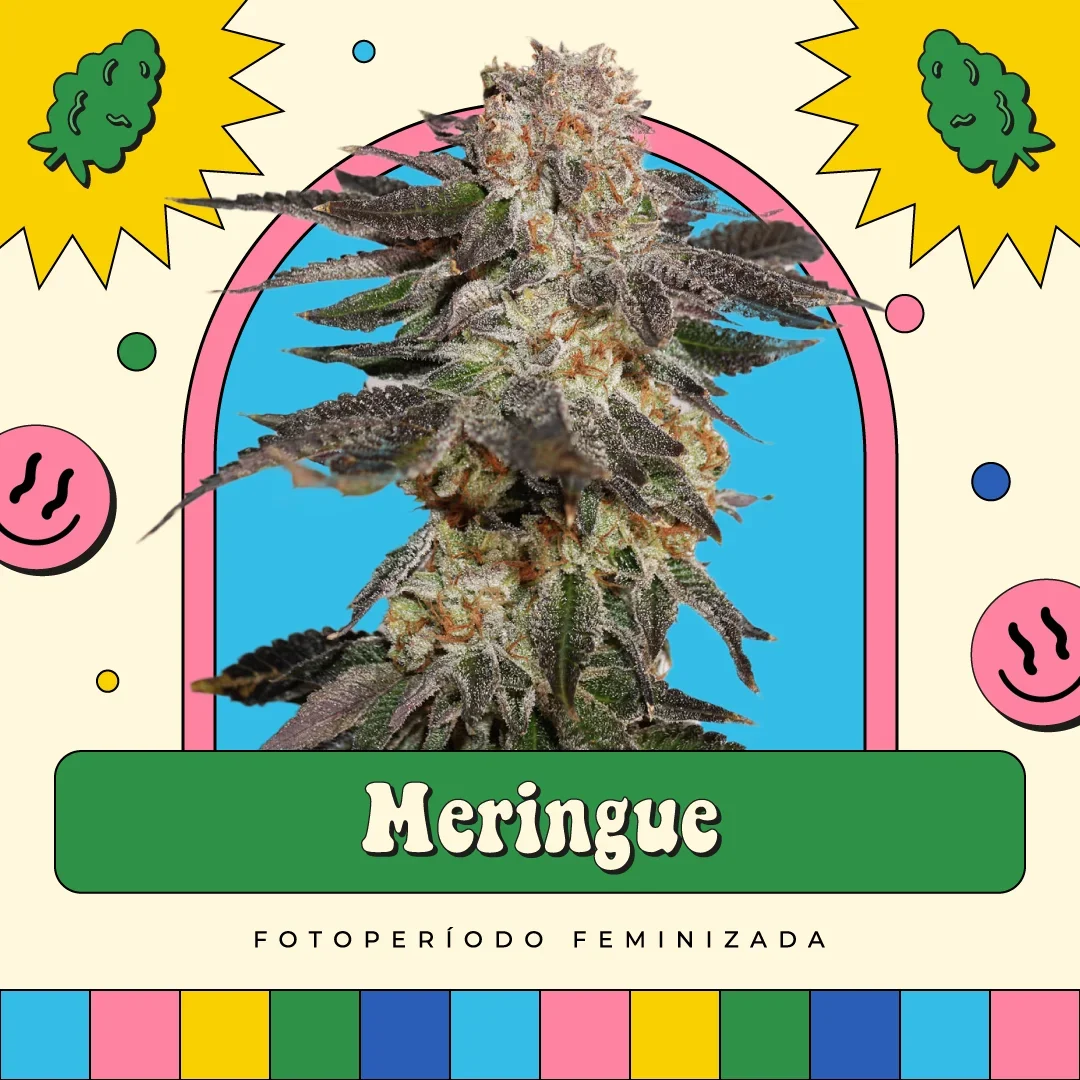 Meringue 4