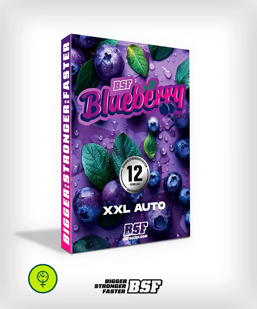 Blueberry Bsf
