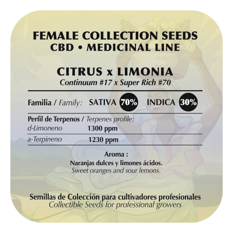 Citrus Limonia Cbd 2