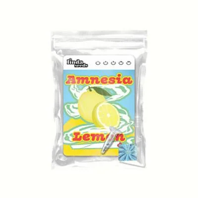 Amnesia Lemon 4
