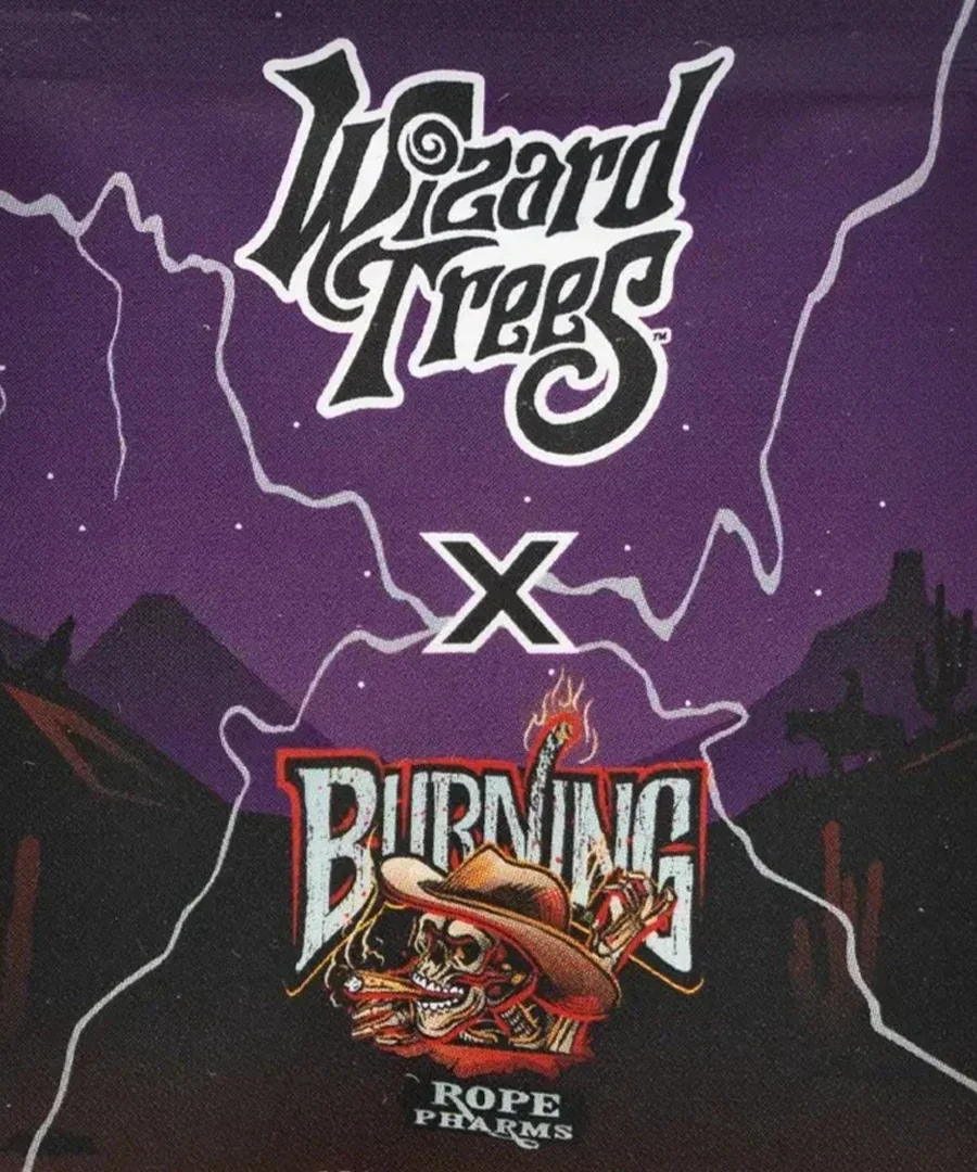 Wizard Fuel 2
