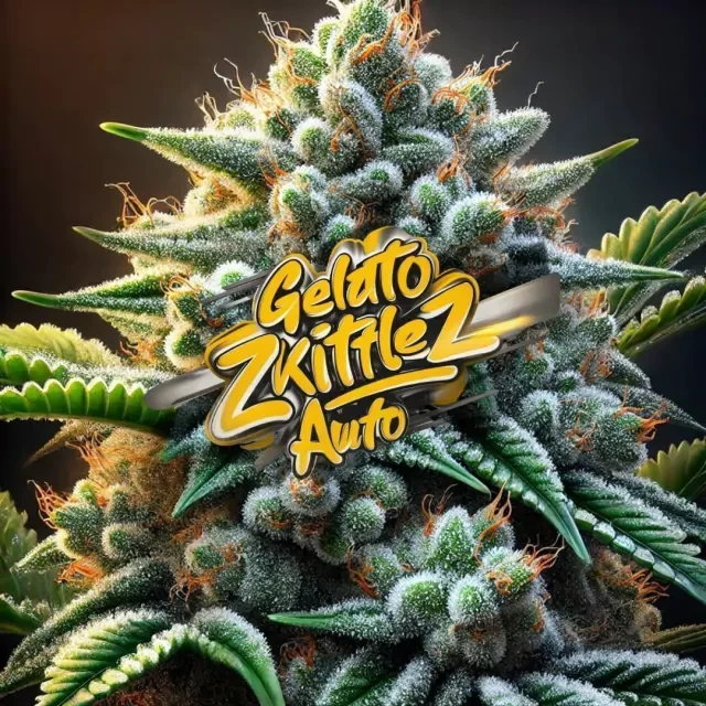 Gelato Zkittlez