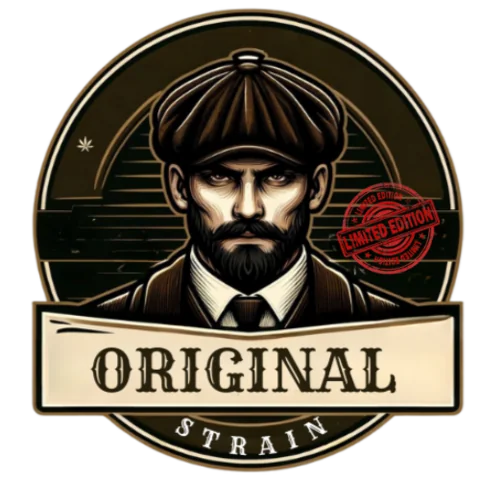 Baraka X Bubba Gift 2