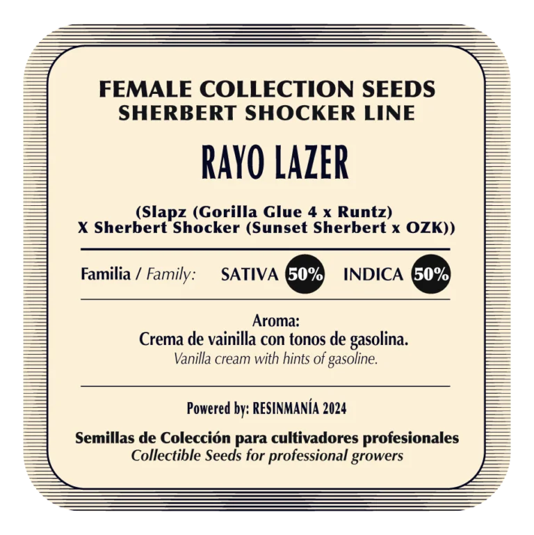 Rayo Lazer 2