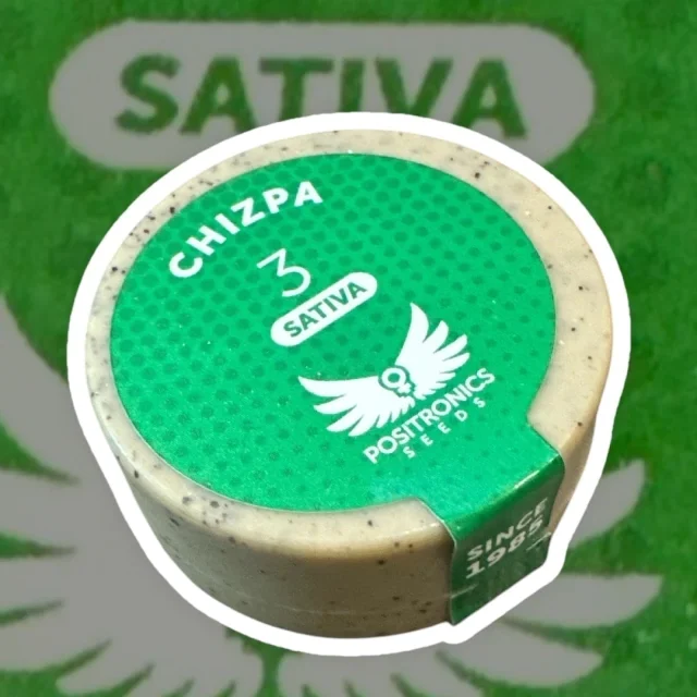 Chizpa 4