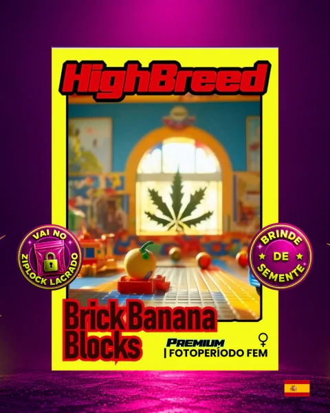 Brick Banana Blocks E Highbreed