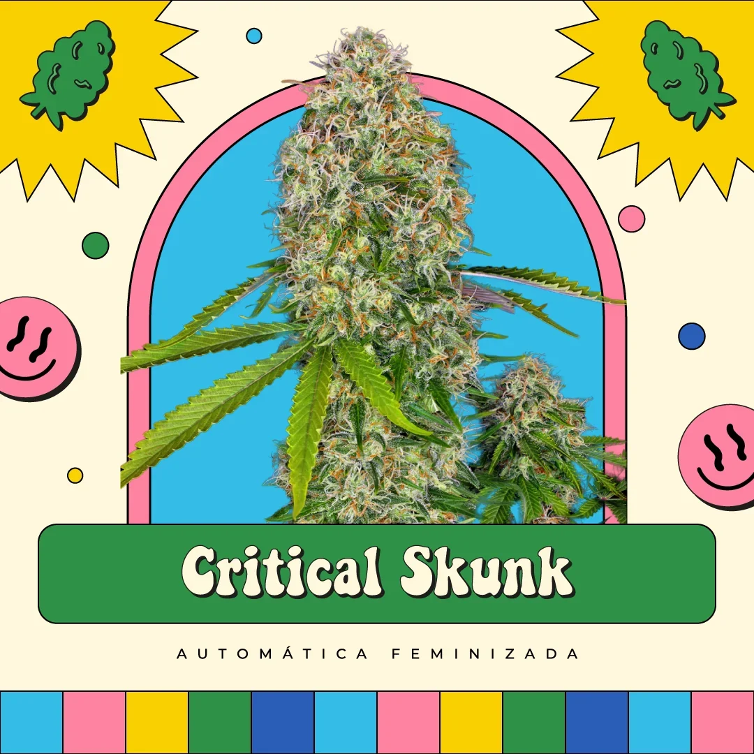 Critical Skunk 3
