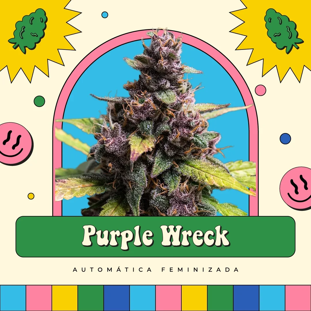 Purple Wreck 2