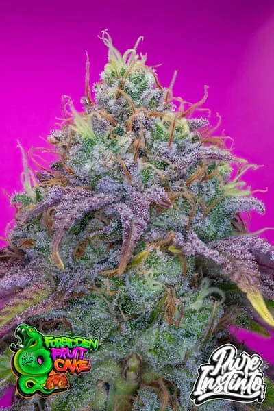 Forbidden Fruit Cake 4