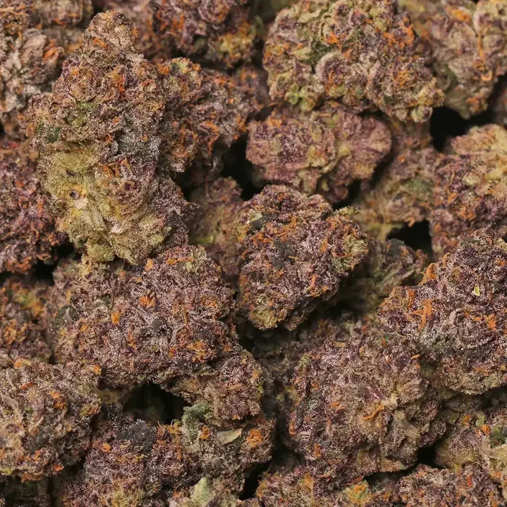 Cherry Biscotti 2