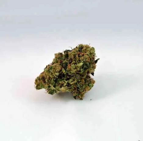 Nebula Ii Cbd 4