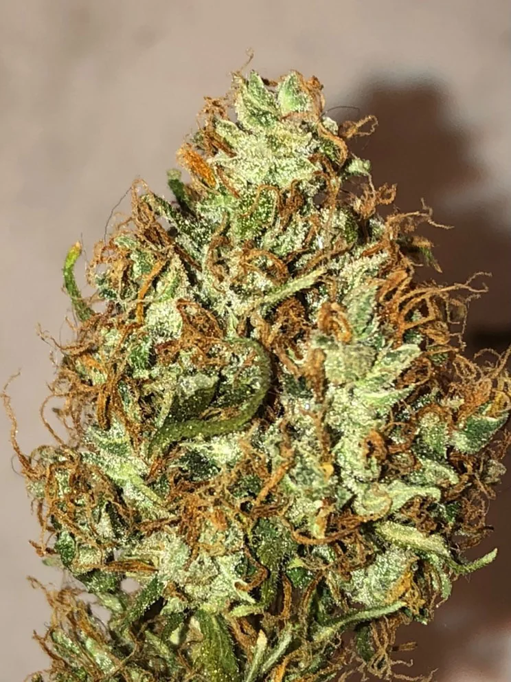 Critical