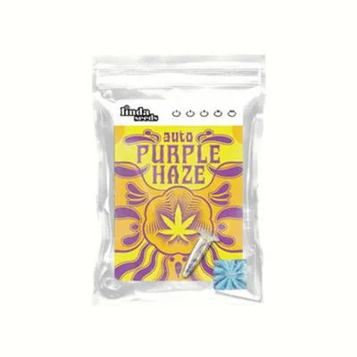 Purple Haze 4