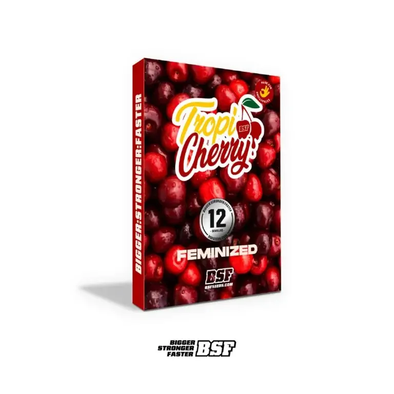 Tropi Cherry Bsf 4