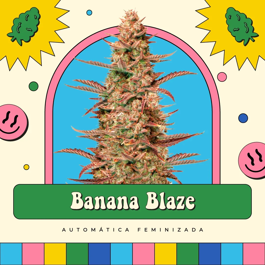 Banana Blaze