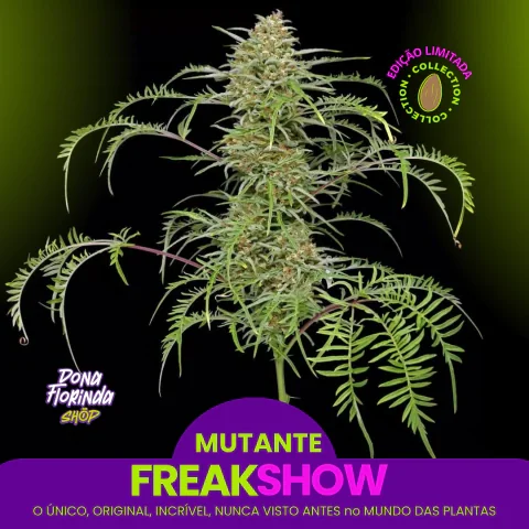 Mutante Freakshow F8