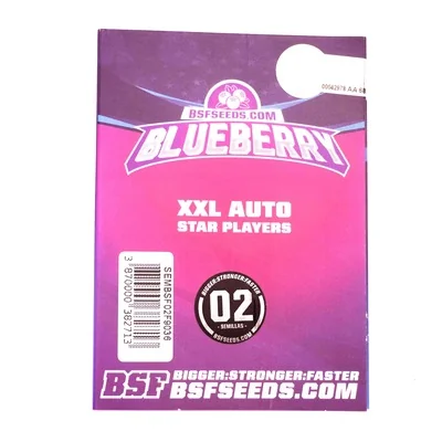 Blueberry Xxl