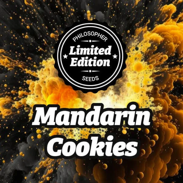 Mandarin Cookies