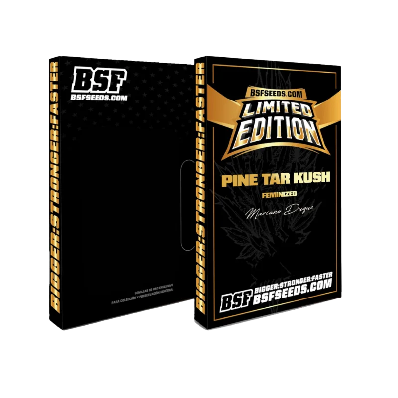 Pine Tar Kush Bsf
