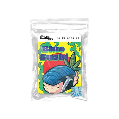 Blue Zushi 2