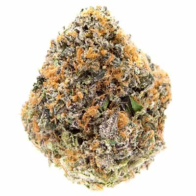 Black Cherry Gushers 2