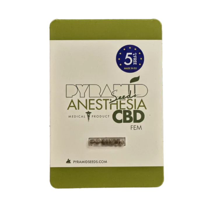 Anesthesia Cbd 3