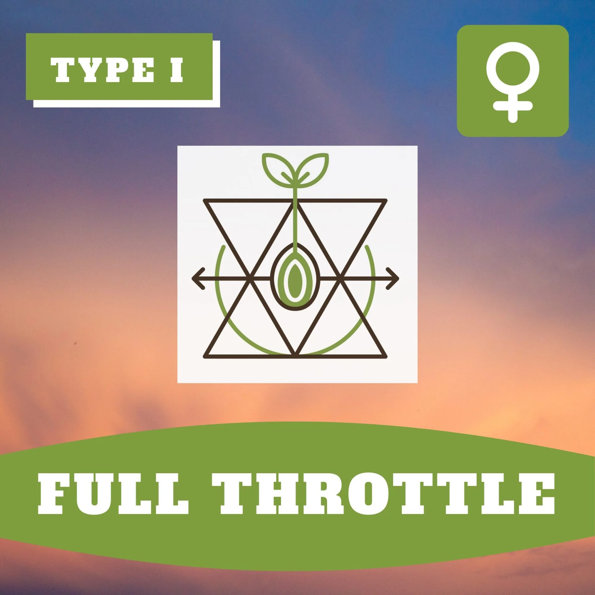 Full Throttle Thcv