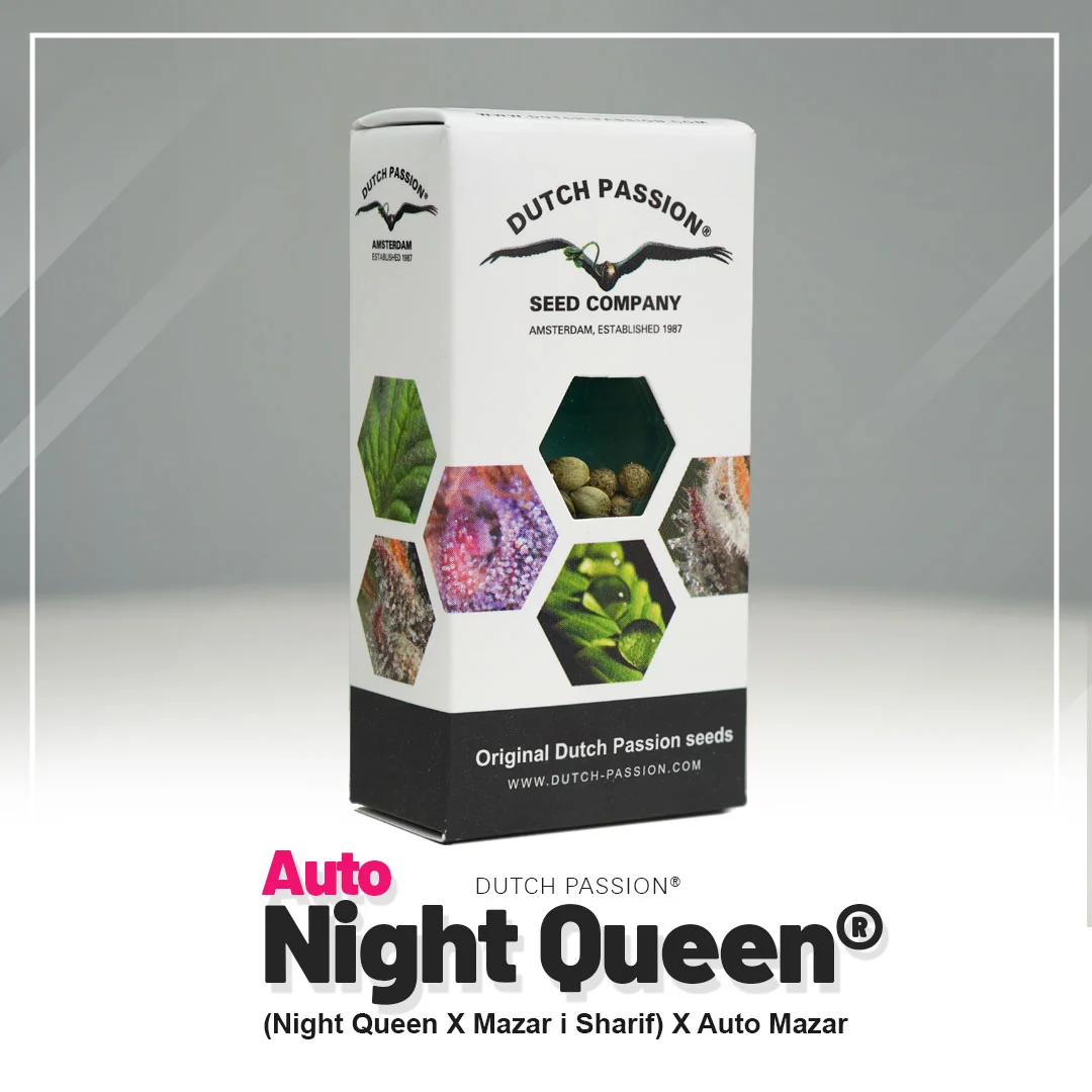 Night Queen