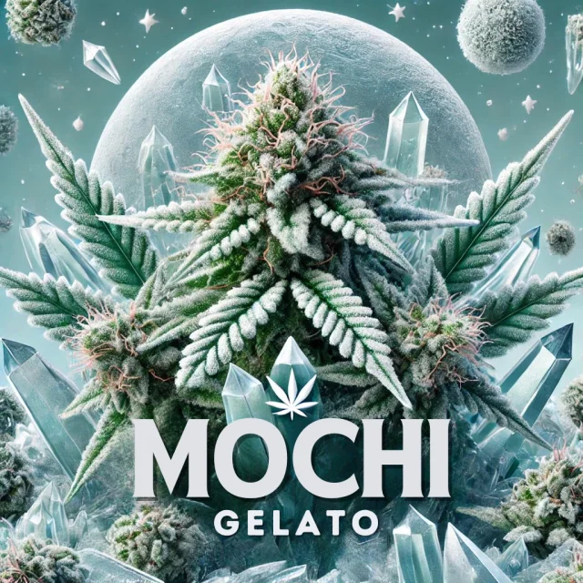 Mochi Gelato