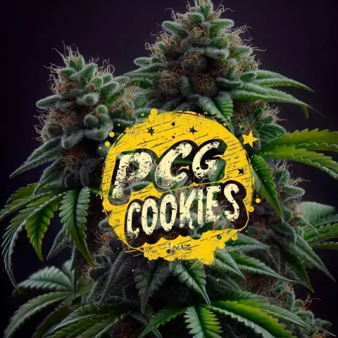Pcg Cookies 2