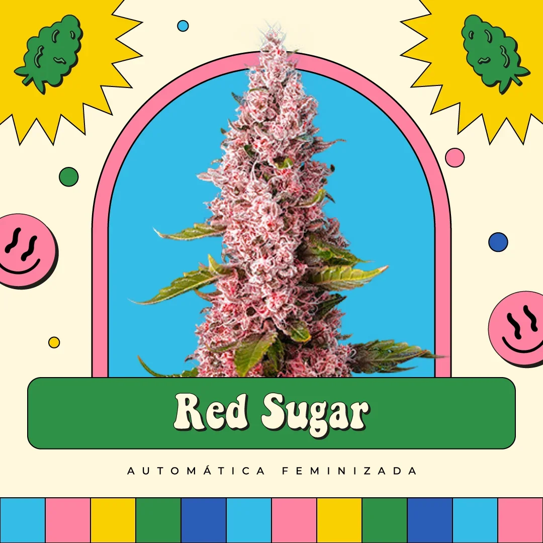 Red Sugar