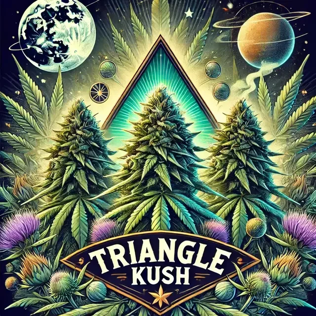 Triangle Kush