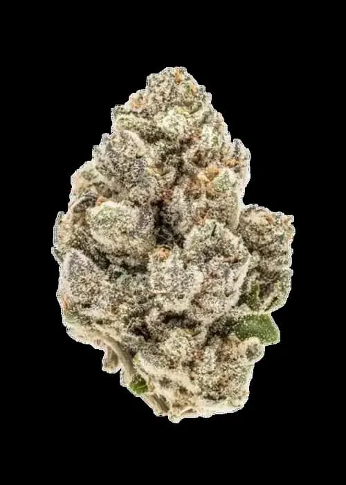 Banana Og 2