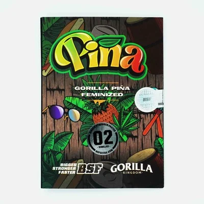 Gorilla Pina 2