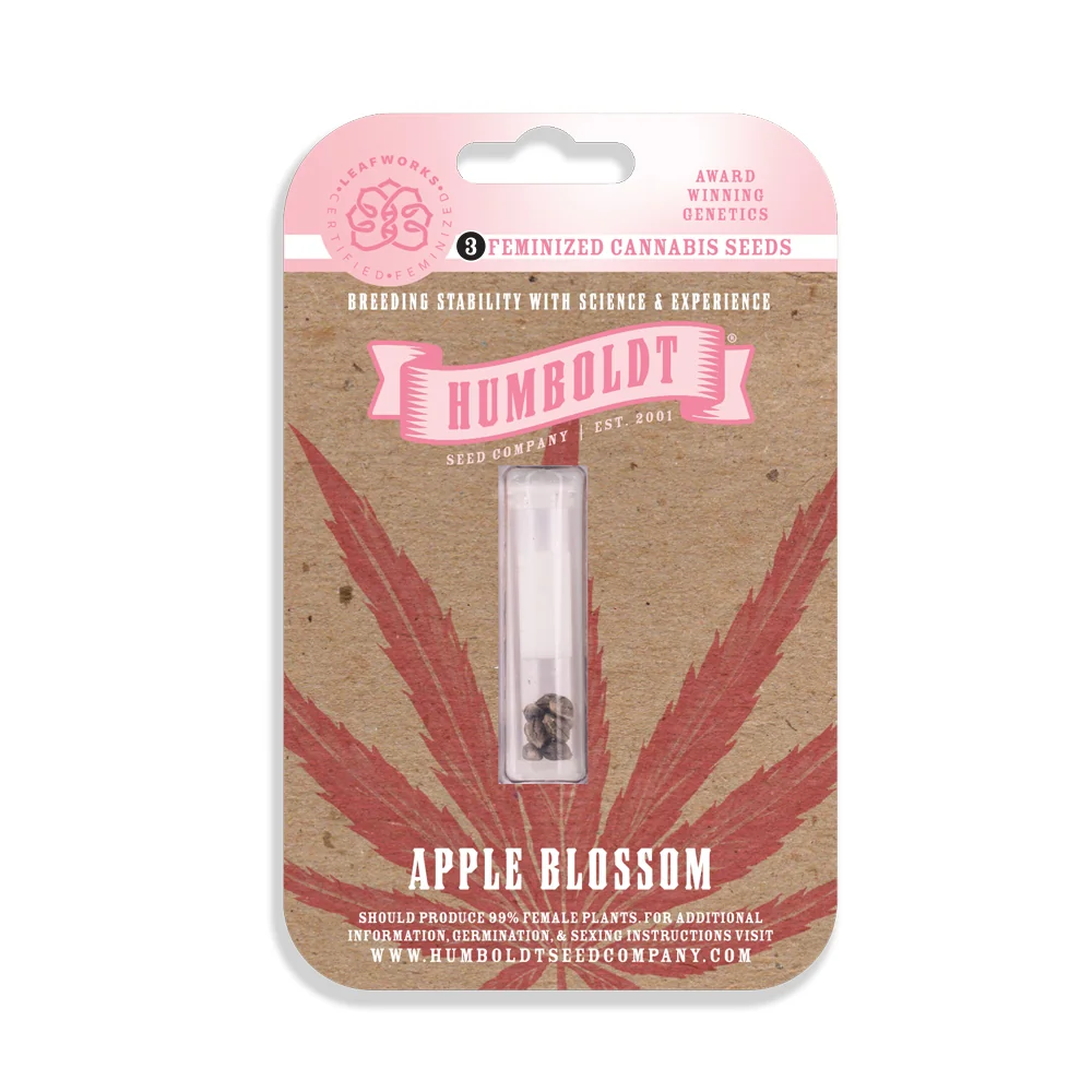 Apple Blossom
