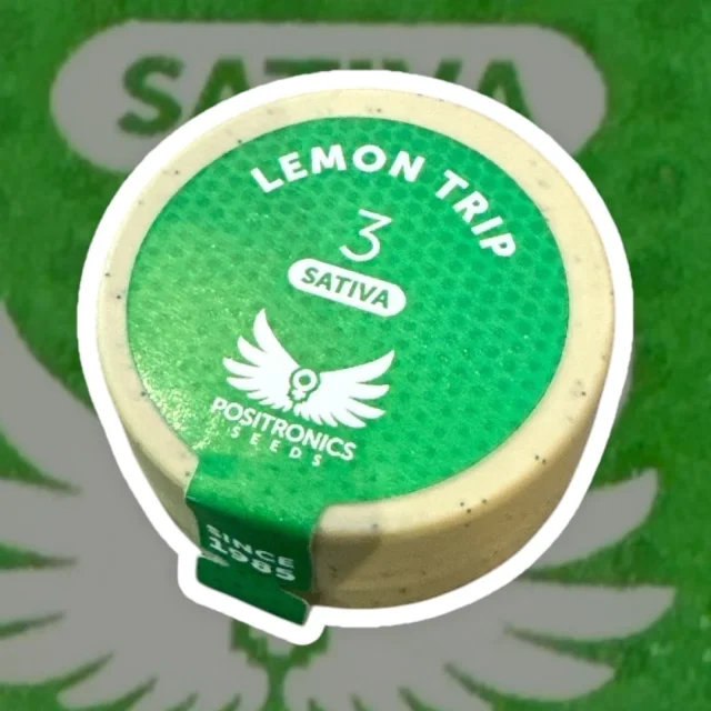 Lemon Trip 3
