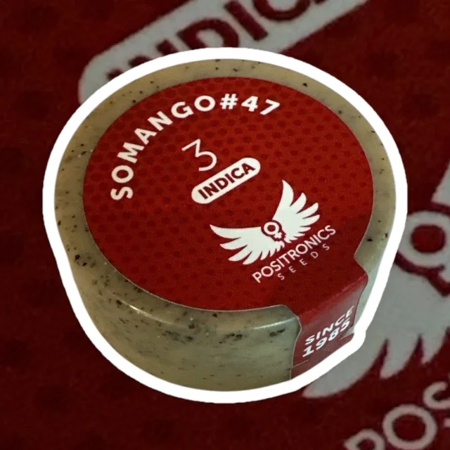 Somango 47 3