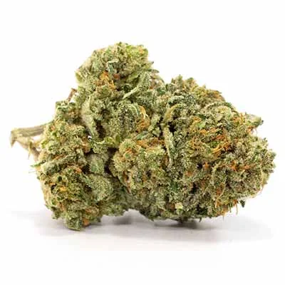 Jamaican Og