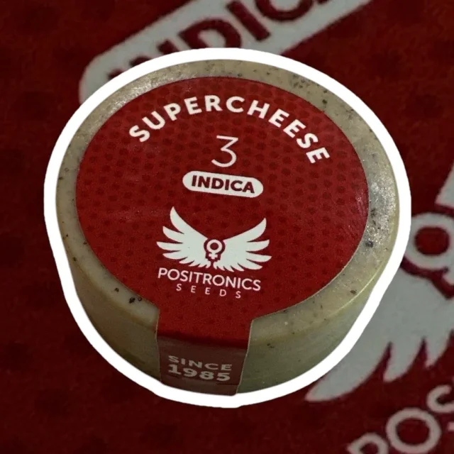 Supercheese 5