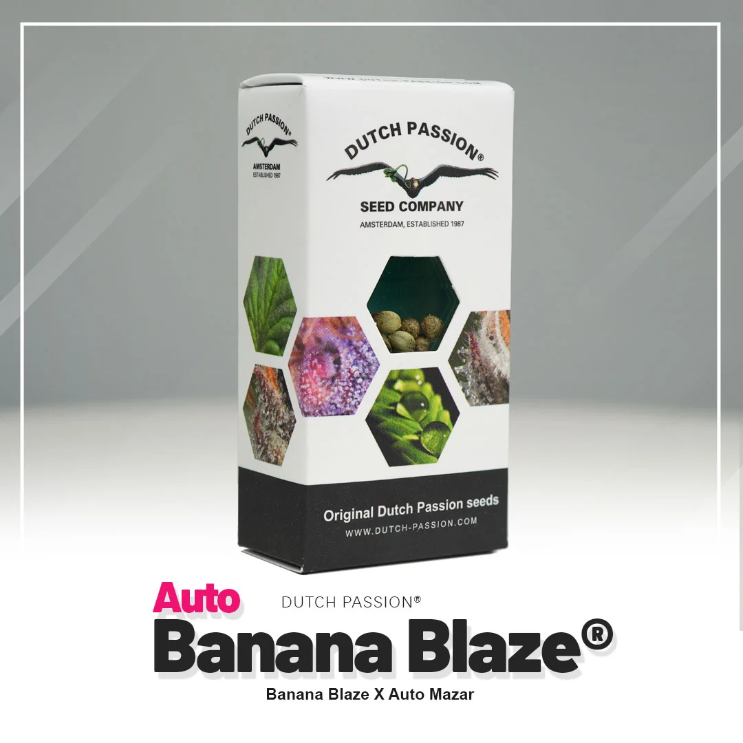 Banana Blaze