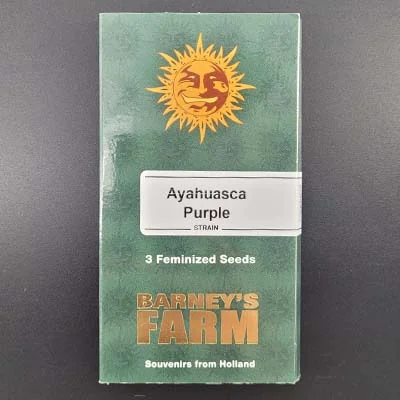 Ayahuasca Purple