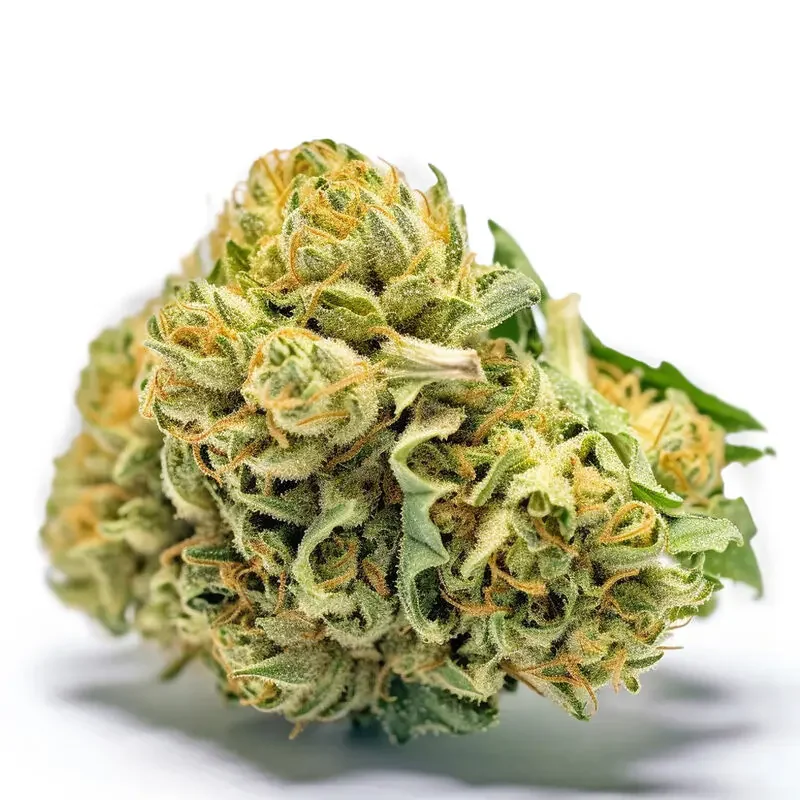 Banana Sherbet