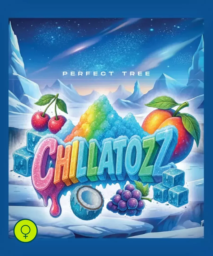 Chillatozz 3