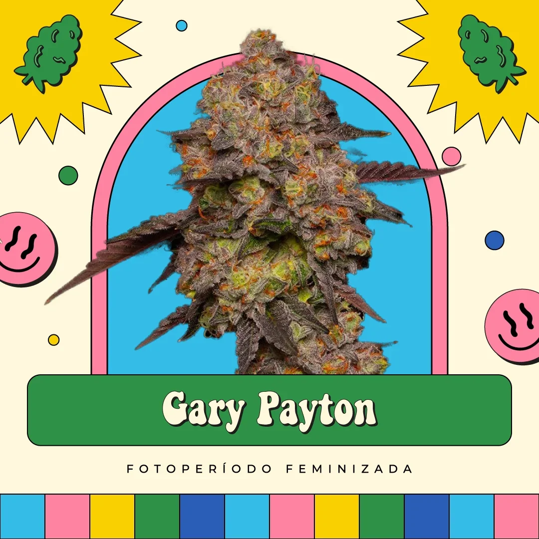 Gary Payton