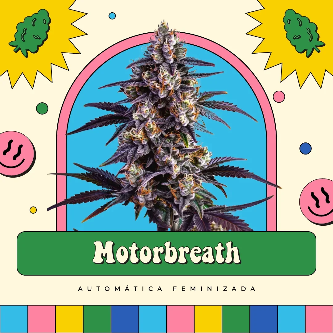Motorbreath